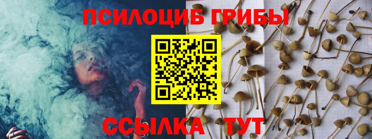 Галлюциногенные грибы Psilocybe  Вход с VPN  Минеральные Воды 